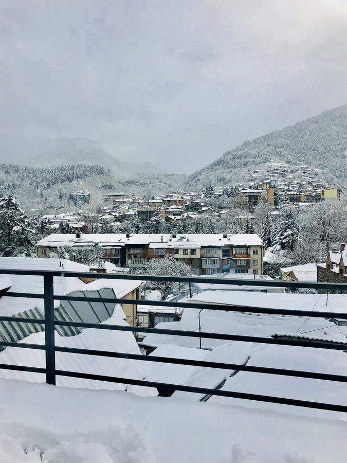 Borjomi Inn Buitenkant foto